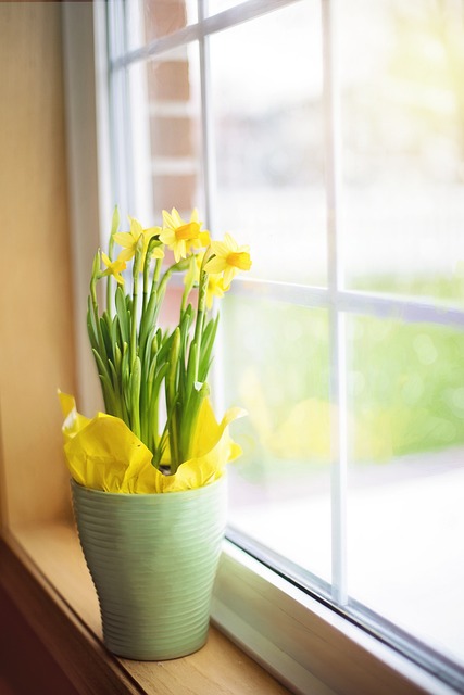 okno natursafe glass